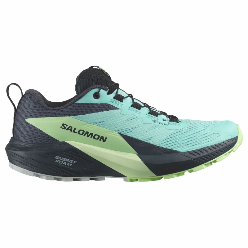 Salomon Sense Ride 5 GTX W